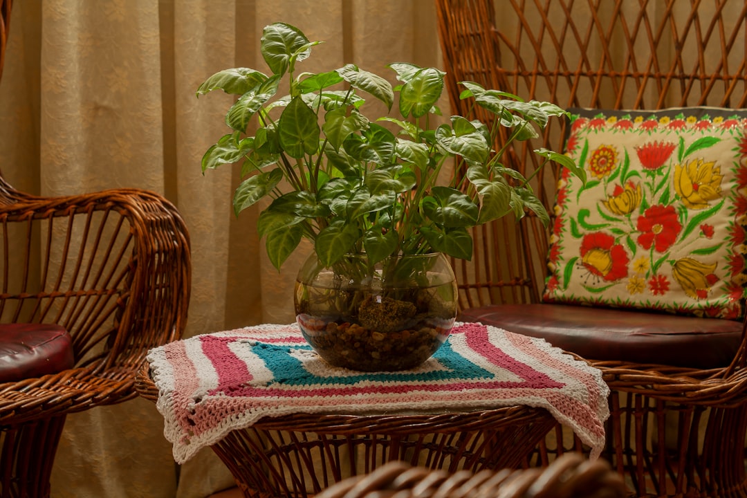 Photo living room colors